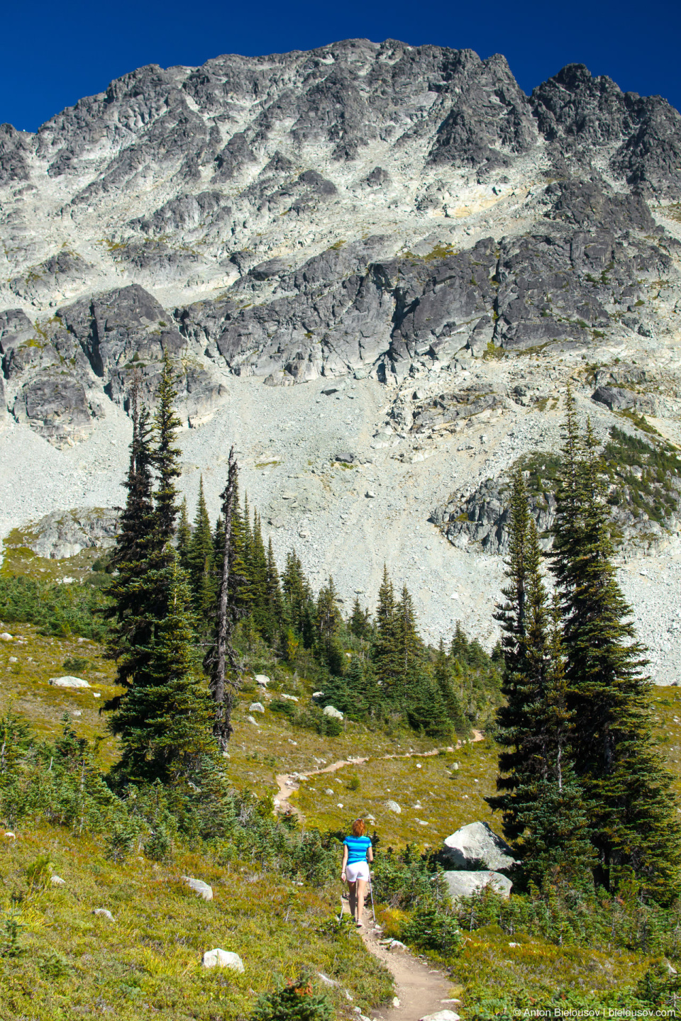 Blackcomb Meadows Trail