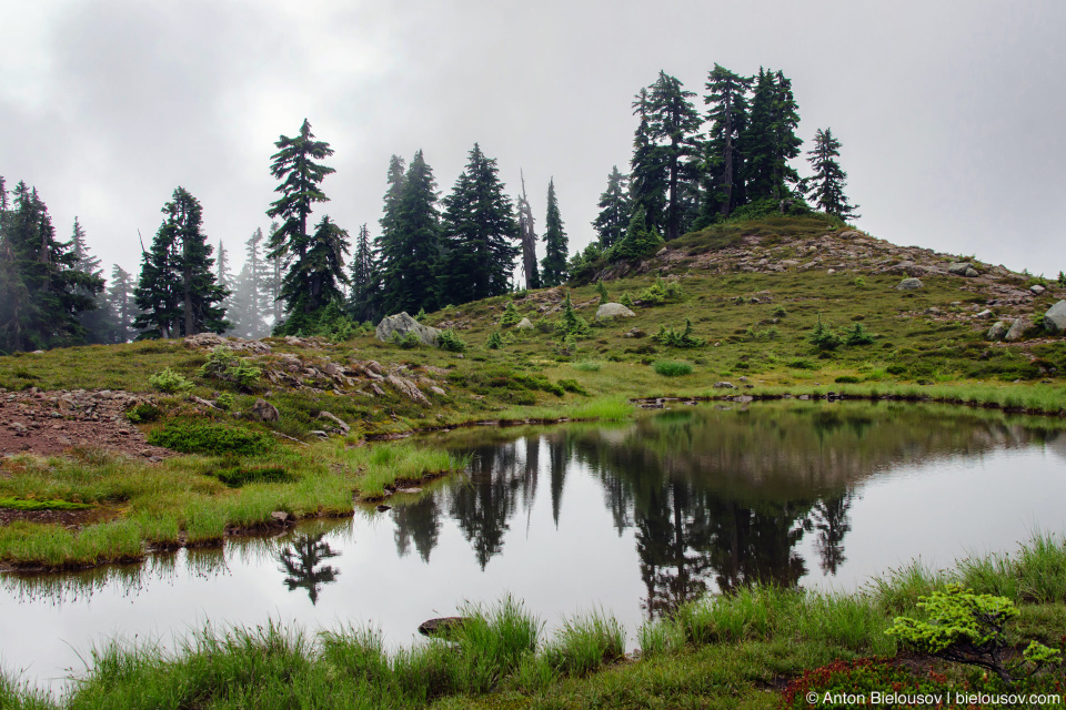 Elfin Lakes trail (Garibaldi Provincial Park, BC)