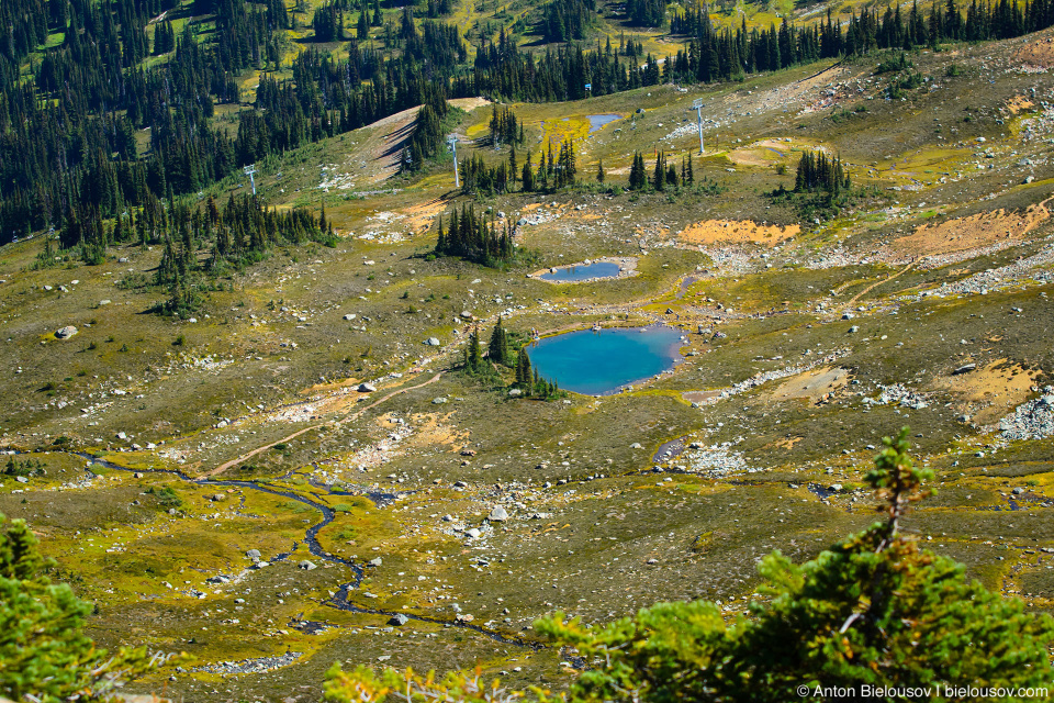 Whistler Symphony Trail