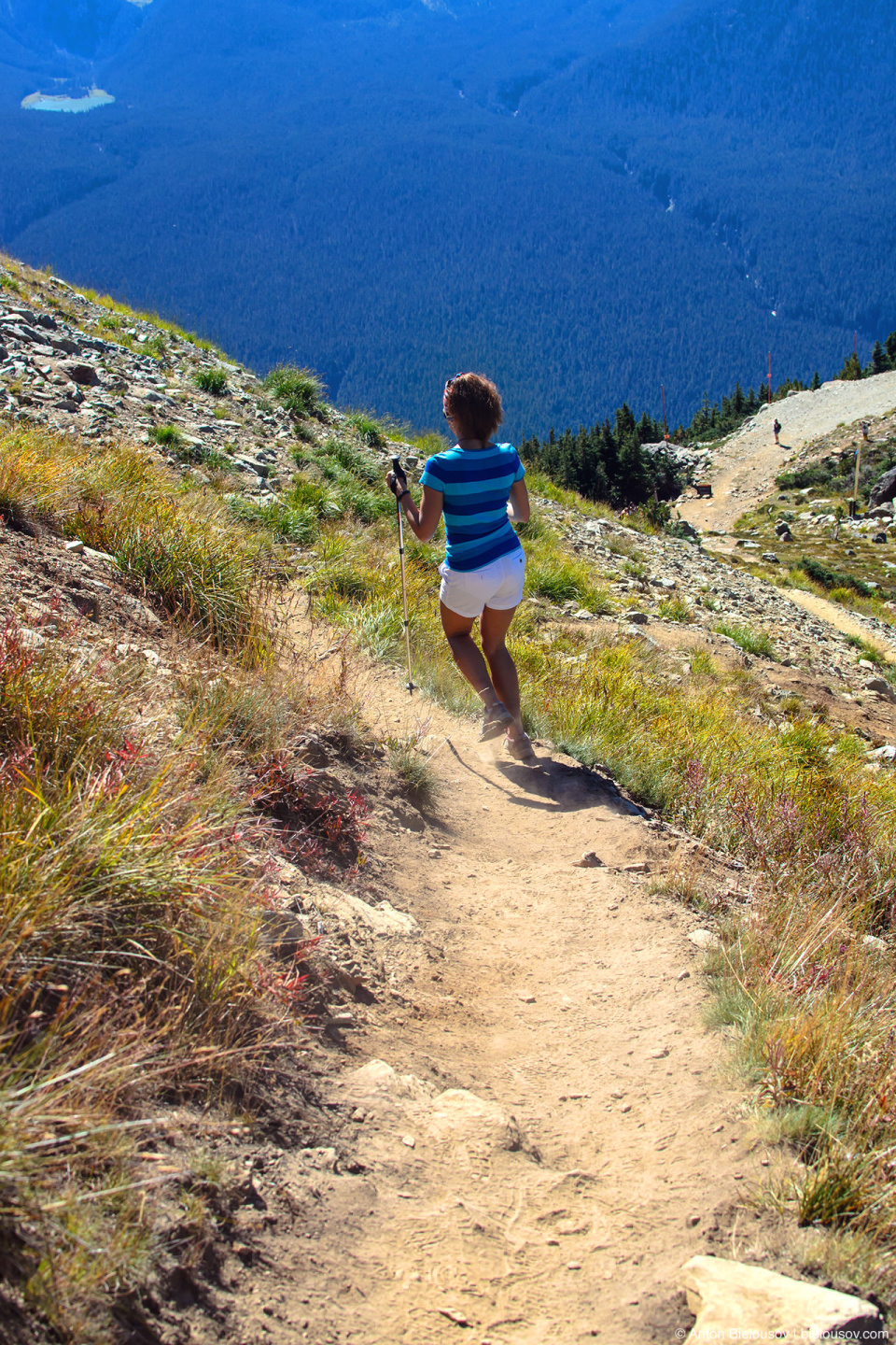 High Note trail (Whistler, BC)