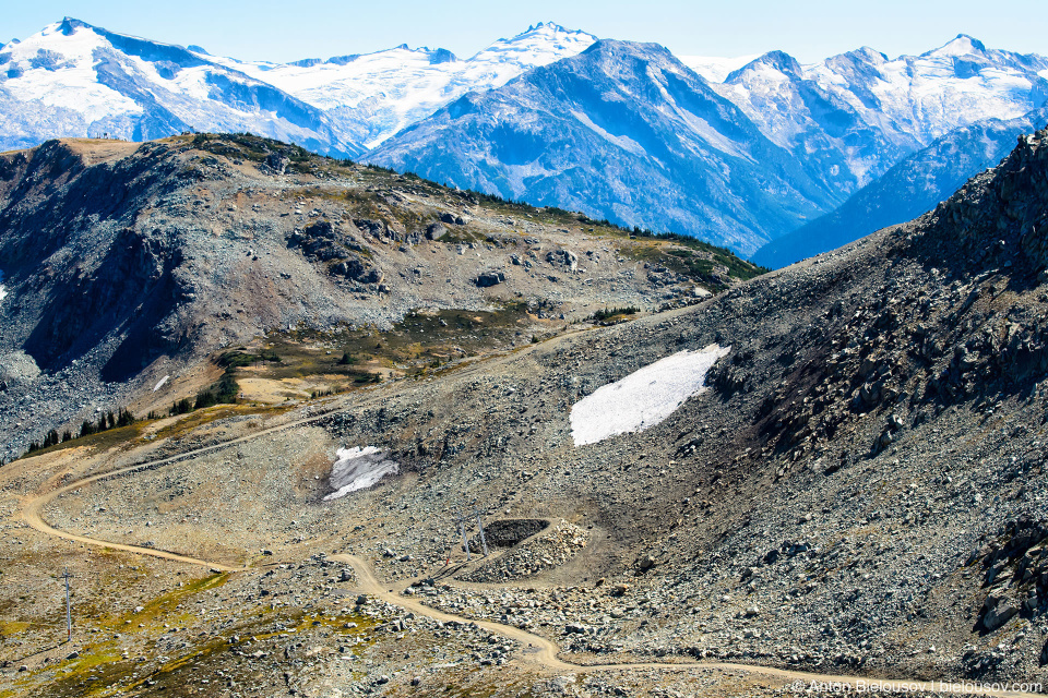 whistler-mountain-half-note-trail