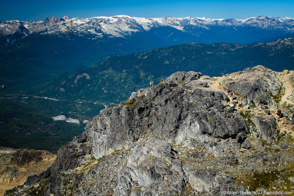 Whistler Mountain Peak 2,160m