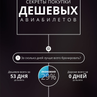 Инфографика: статистика дешевых авиабилетов Инфографика: статистика дешевых авиабилетов