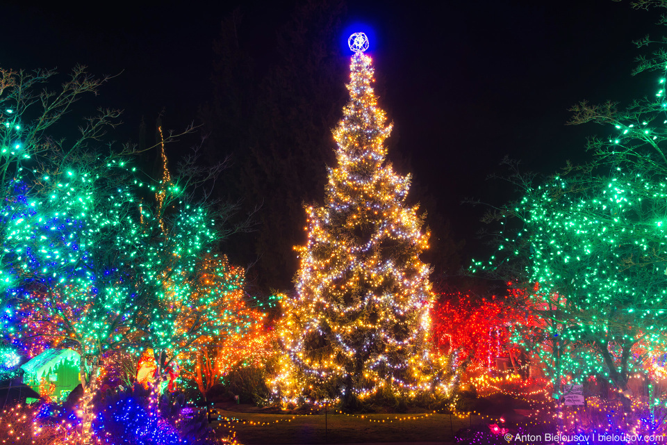 Van Dusen park Festival of Lights (2013)