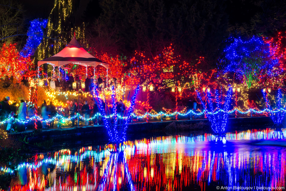 Van Dusen park Festival of Lights (2013)