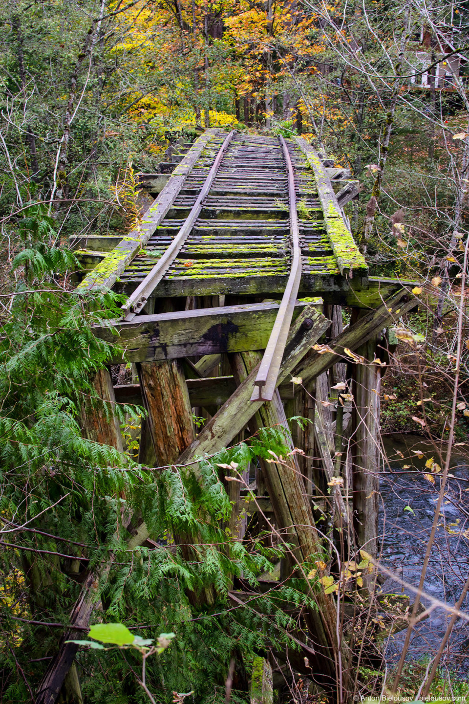 Whatcom Falls Park Railroad Trail Bridge (Bellingham, WA)