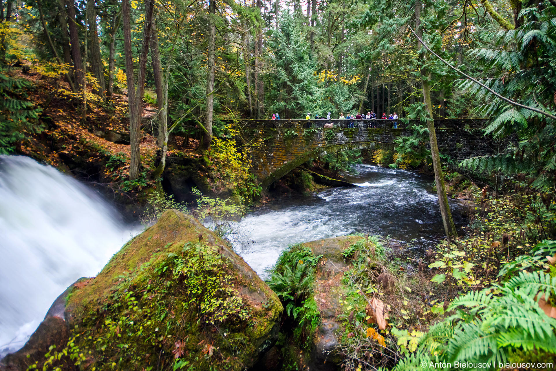 Whatcom Falls Park США: Bellingham, WA