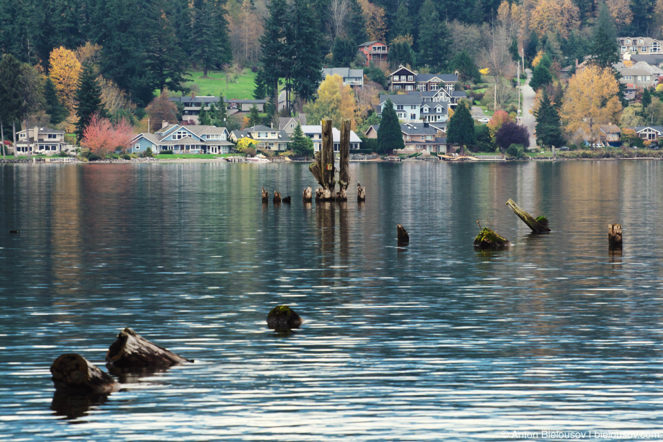 Lake Whatcom (Bellingham, WA)