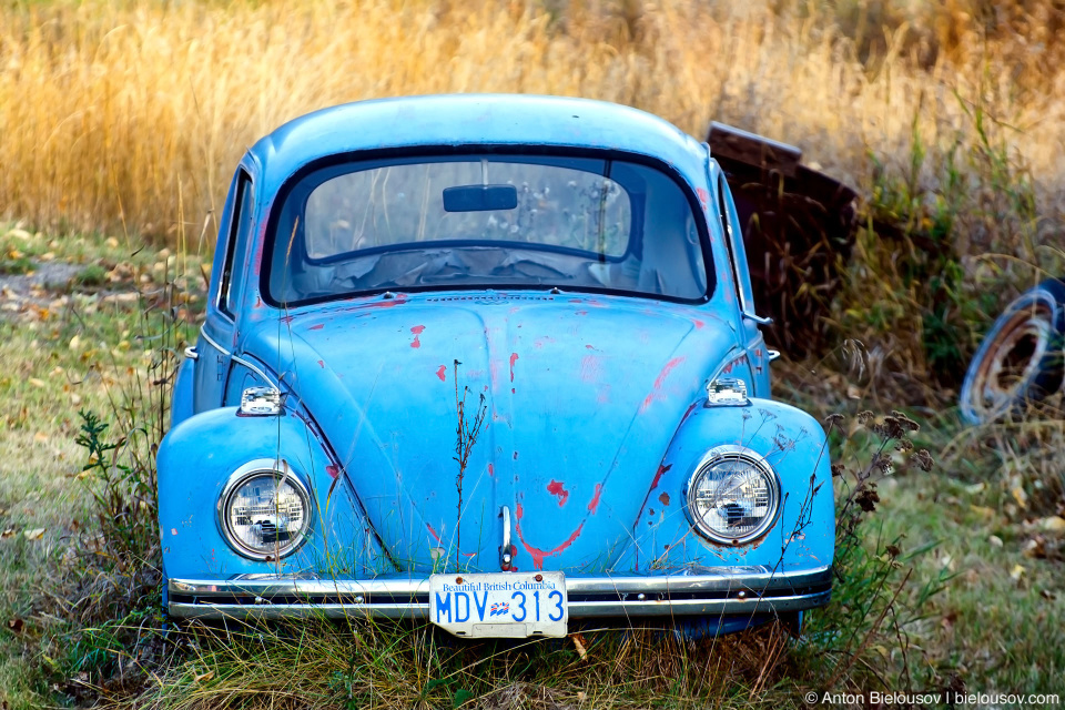 Volkswagen Beetle Coalmont, BC