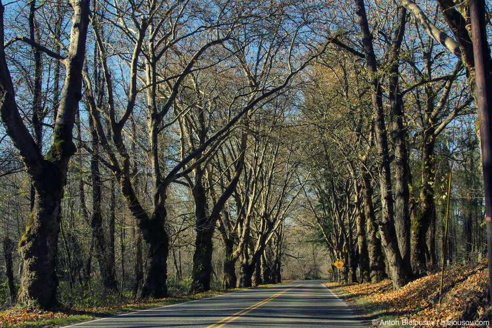 Reining Rd. — North Bend, WA