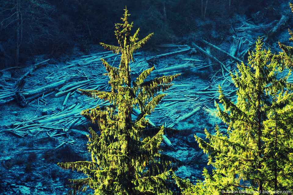 Snoqualmie Falls canyon frost