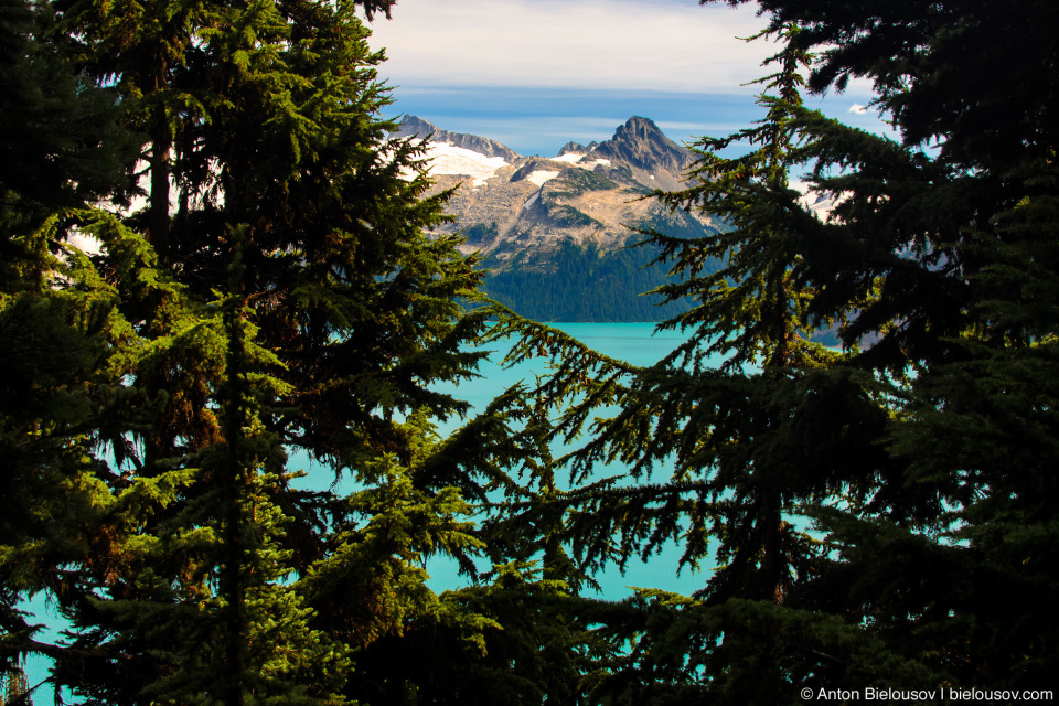 Garibaldi Lake from Taylor Meadows trail