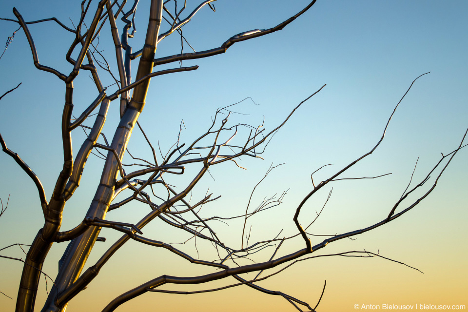 “Split” — a metal tree in Olympic Sculpture Park (Seattle, WA)