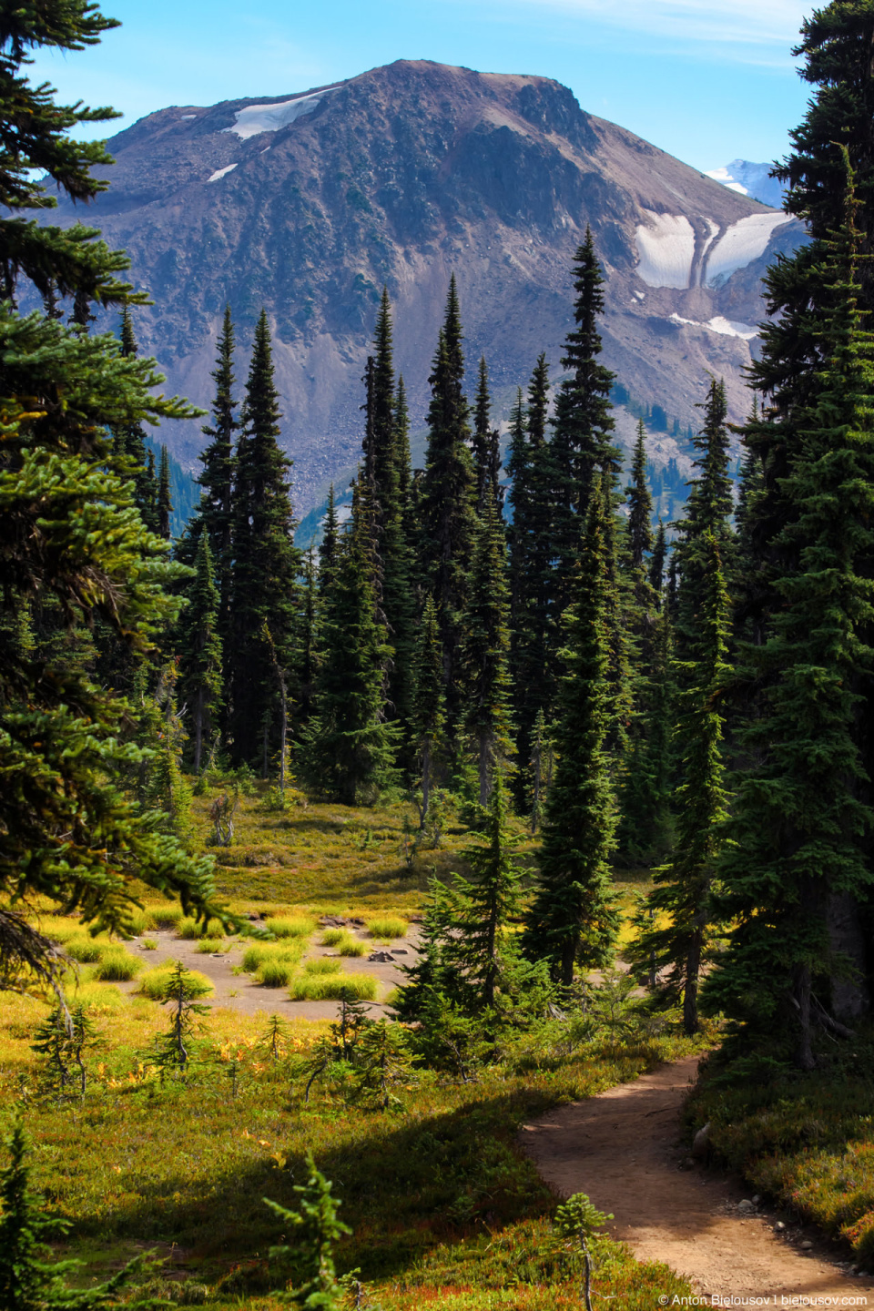 Taylor Meadows trail