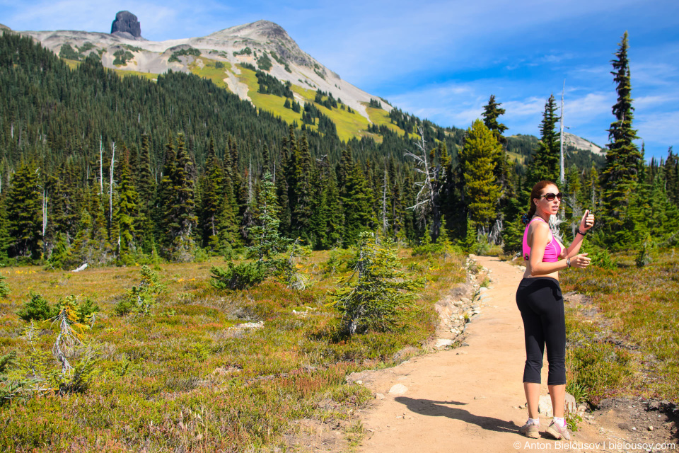 Taylor Meadows trail (to Black Tusk and Garibaldi Lake)