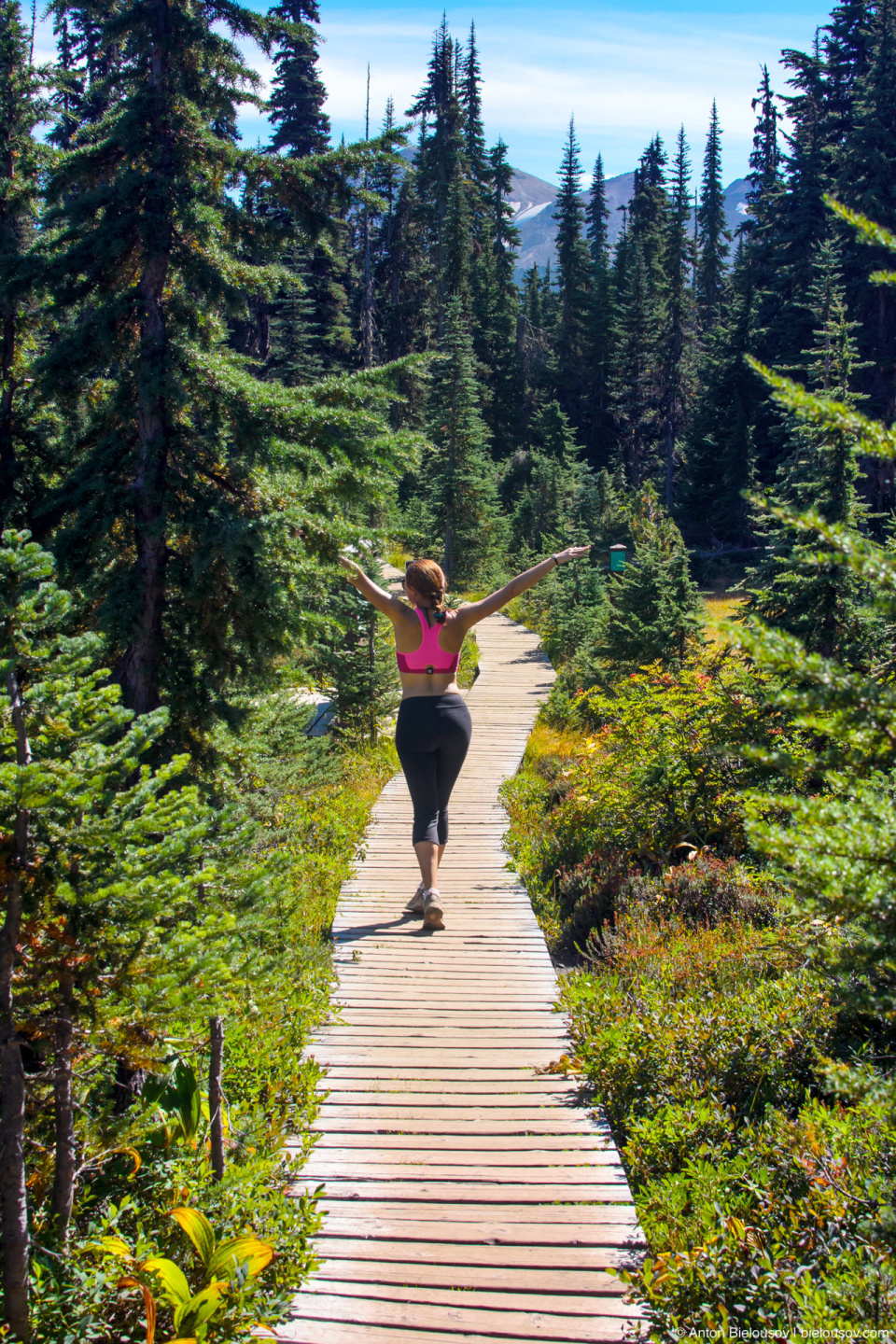 Taylor Meadows trail (to Black Tusk and Garibaldi Lake)