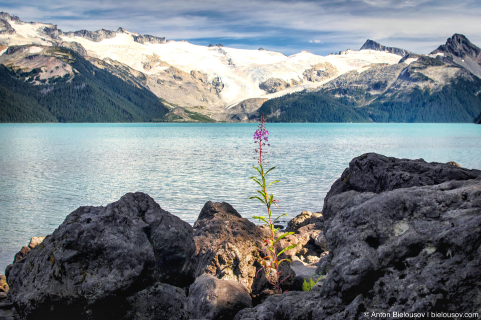 Garibaldi Lake