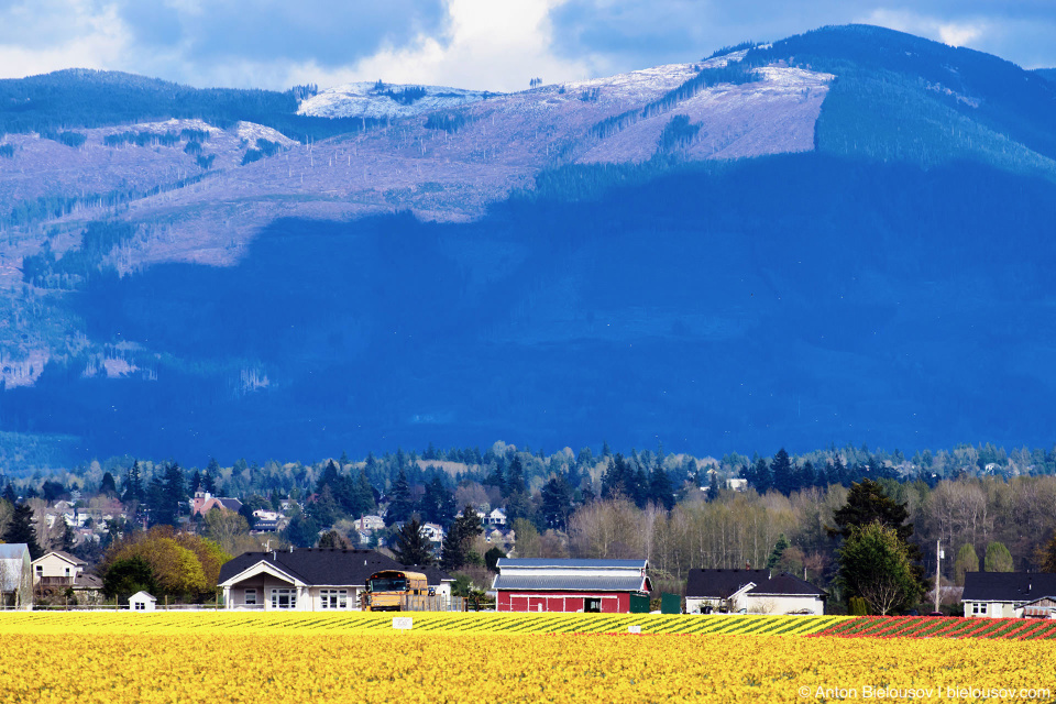 Skagit Valley, Mount Vernon, WA