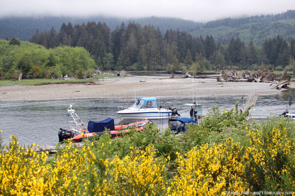 Gordon River (Port Renfrew, BC)