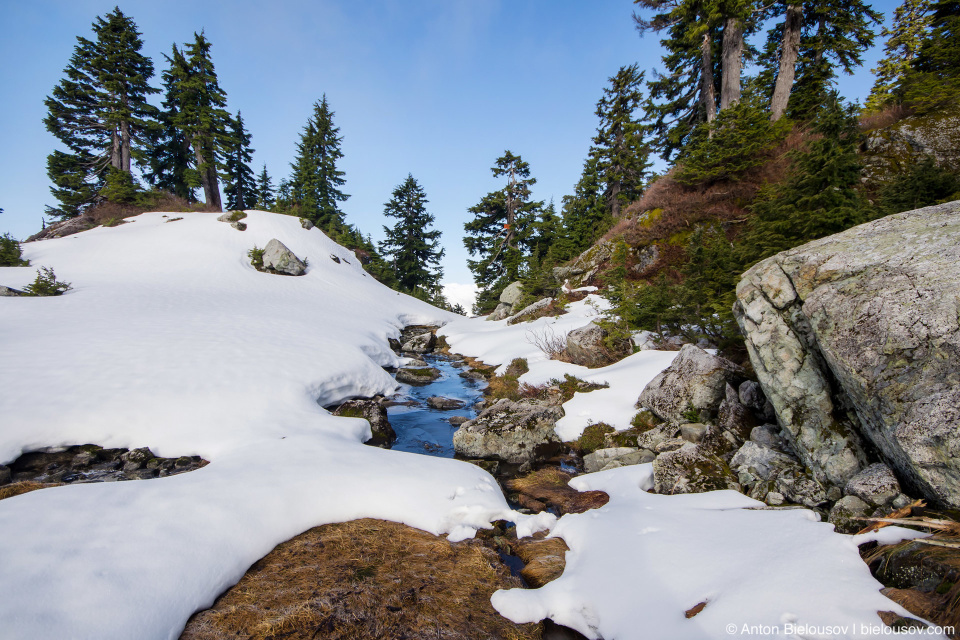 Тропа на вершину Сеймур (Seymour Mountain) в снегу