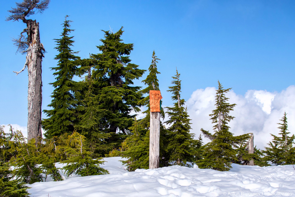 Mount Seymour Second Peak