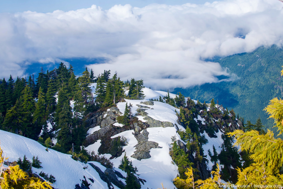 Вершина горы Сеймур (Seymour Mountain)