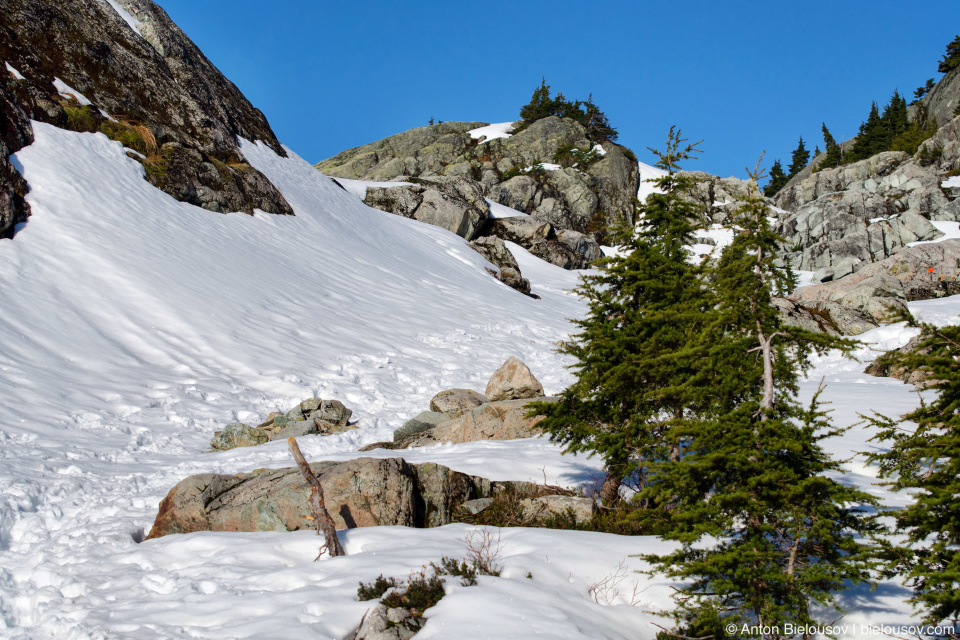 Тропа на вершину Сеймур (Seymour Mountain) в снегу