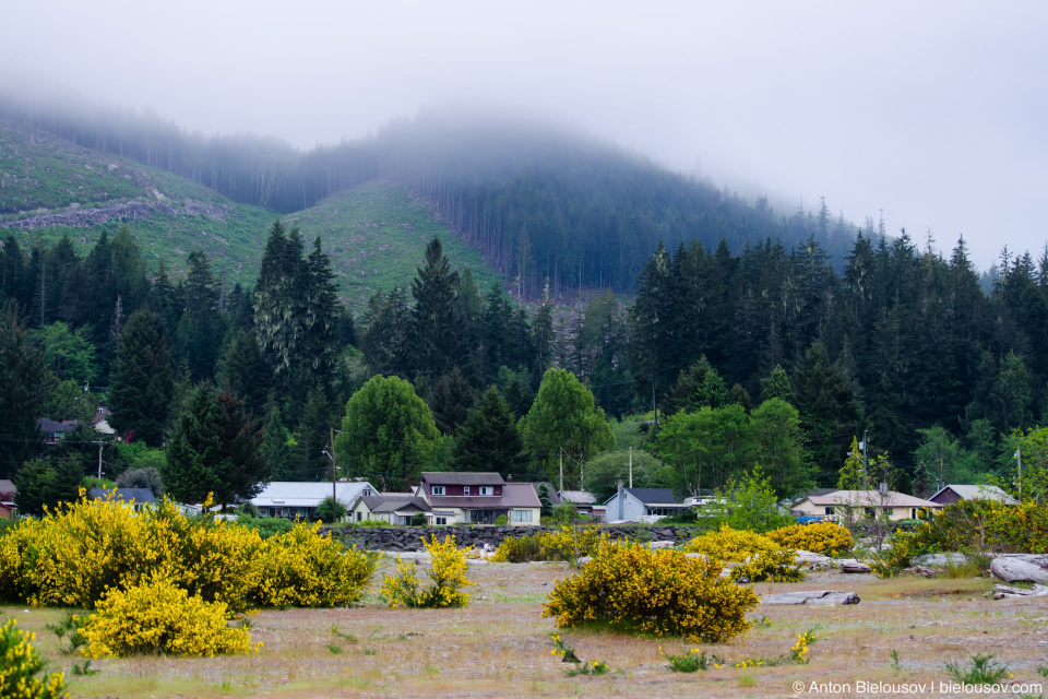 Port Renfrew, BC