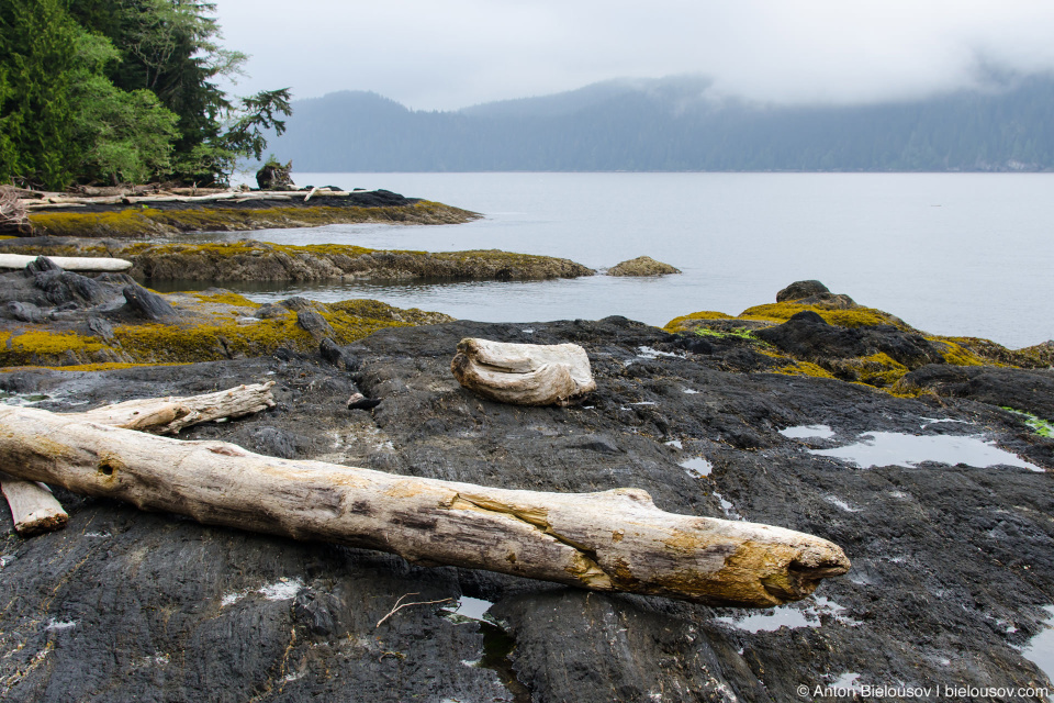 Port Renfrew Inlet