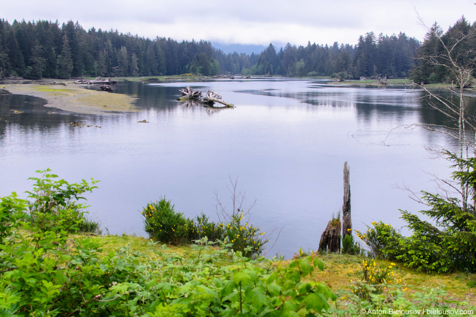 Port San Juan view (Port Renfrew, BC)