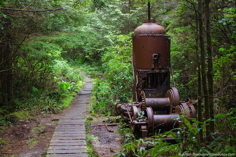 Steam donkey (west coast trail)