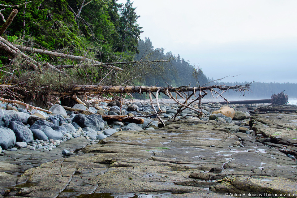 Пляж на West Coast Trail