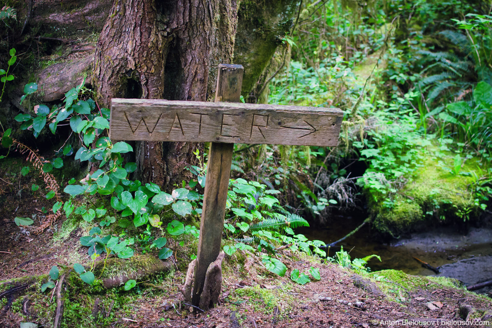 Источник воды на West Coast Trail