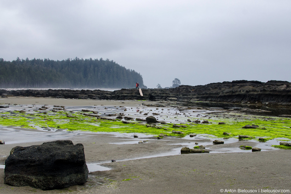 West Coast Trail: Cribs Creek Campsite