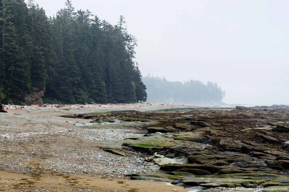 West Coast Trail Beach