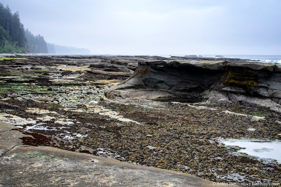 West Coast Trail Beach