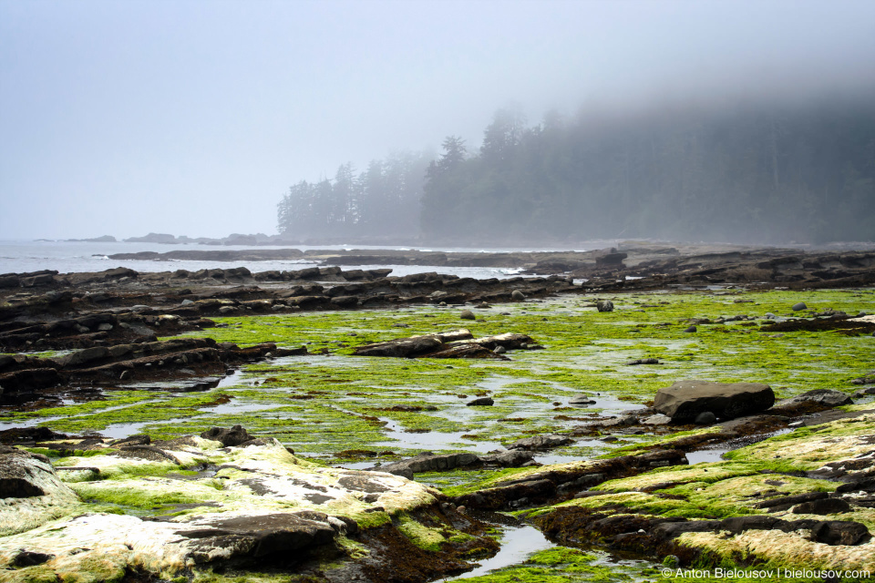 West Coast Trail Beach