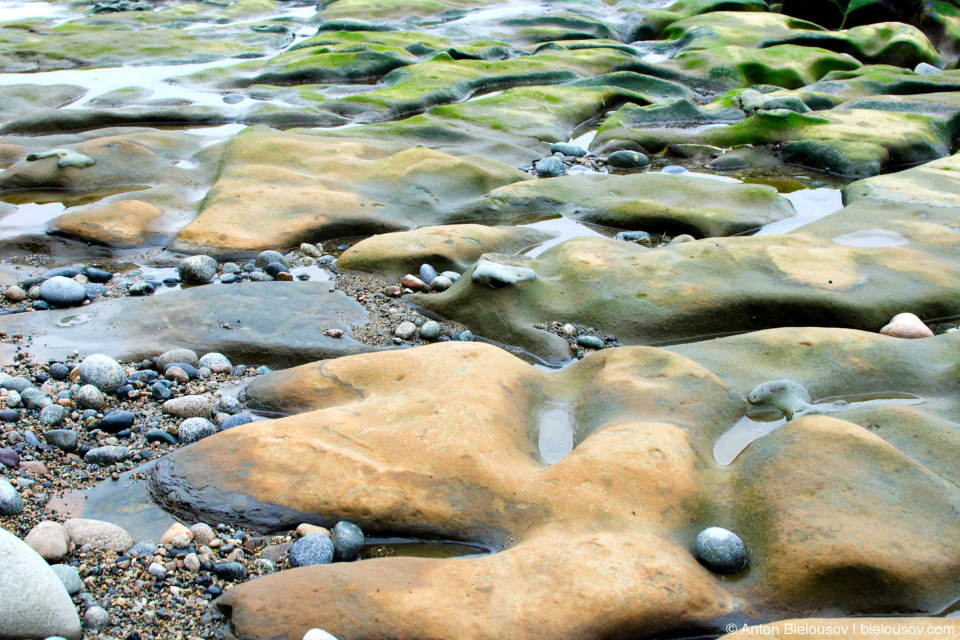 West Coast Trail Beach Rocks