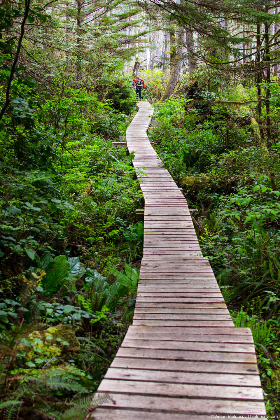 West Coast Trail new board walk