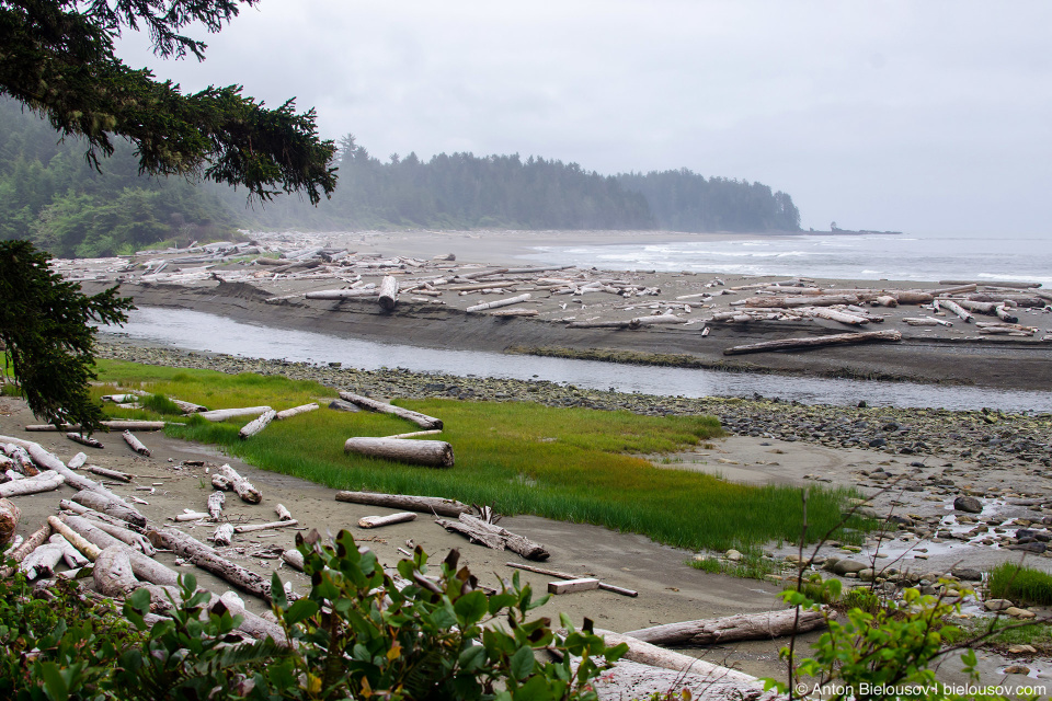 West Coast Trail Beech Access at Cheewhat River