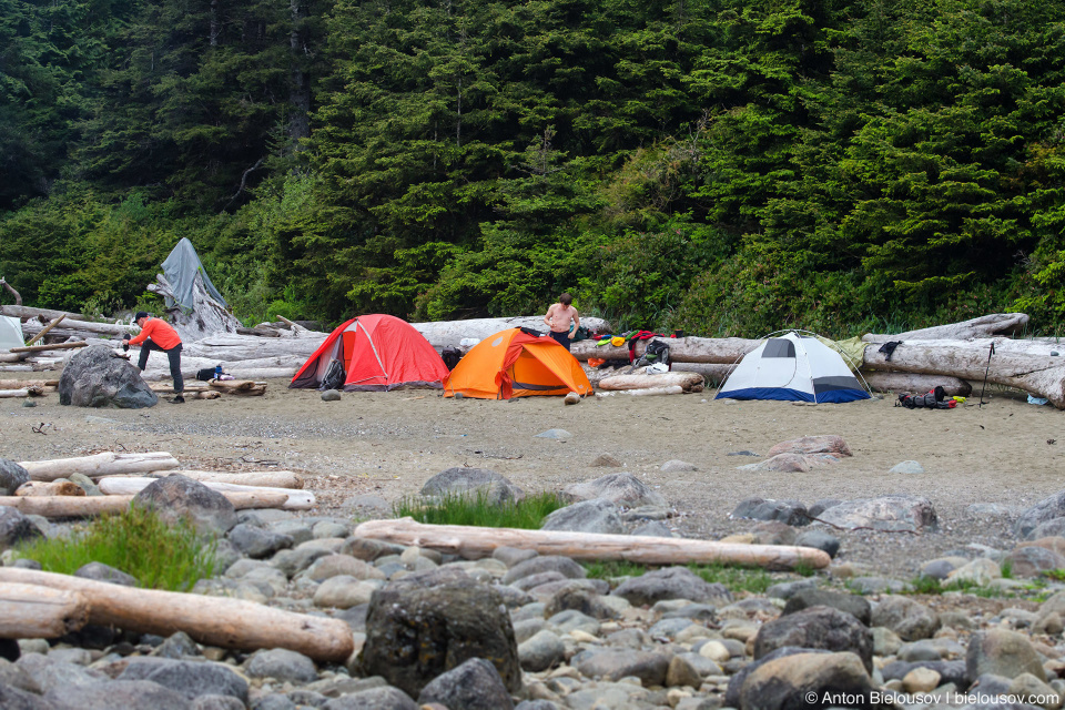 Cribs Creek Campsite — West Coast Trail