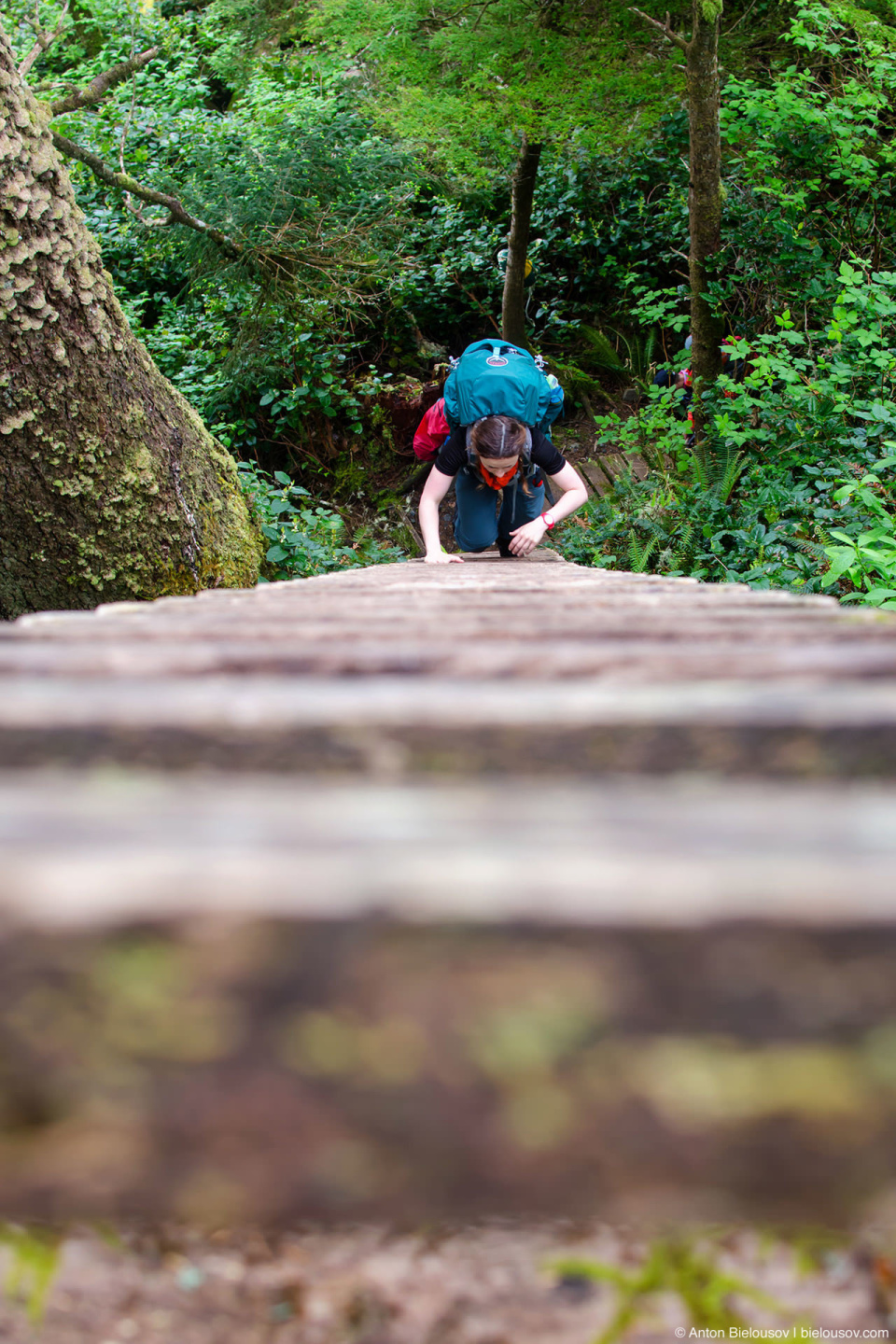 Лестницы на West Coast Trail