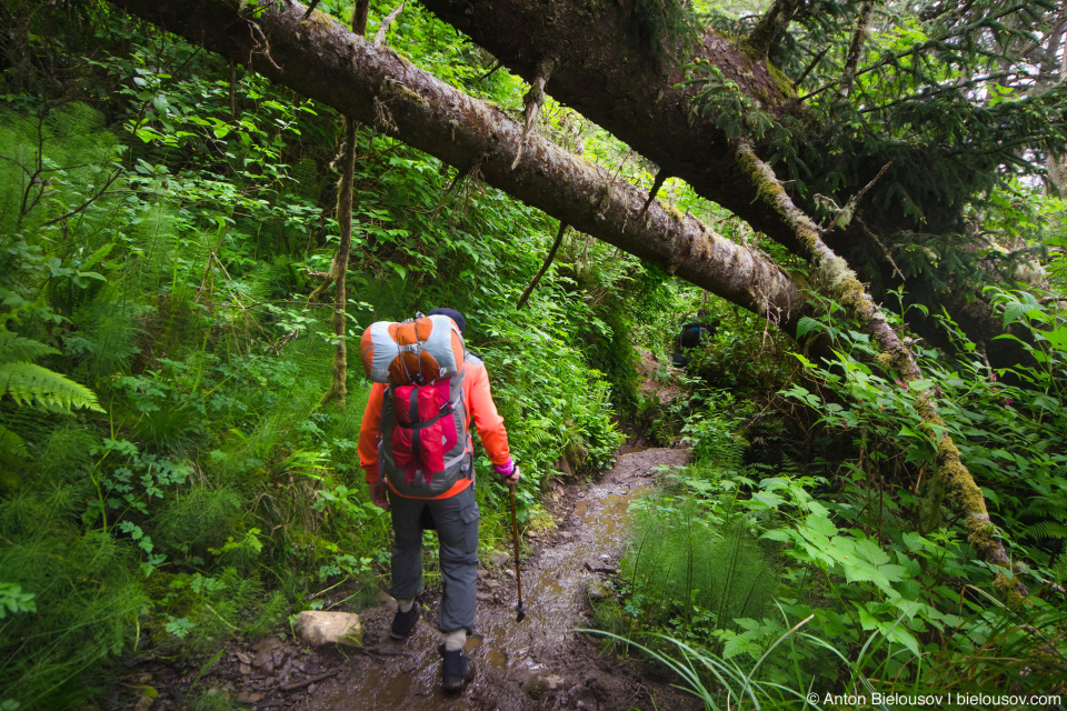 Тропа West Coast Trail