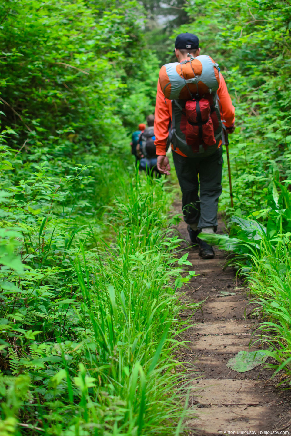 Тропа West Coast Trail