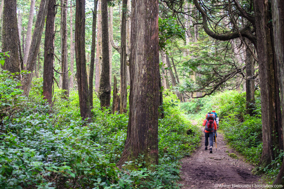 West Coast Trail