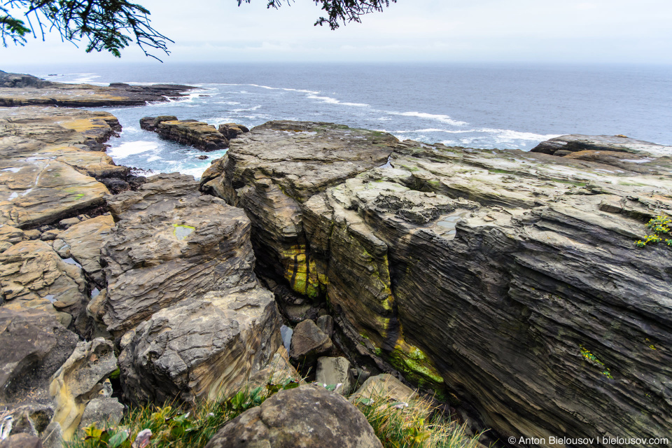 West Coast Trail Pacheta Point