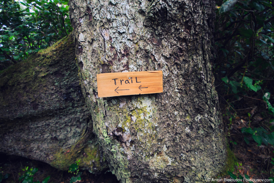 Указатель на West Coast Trail