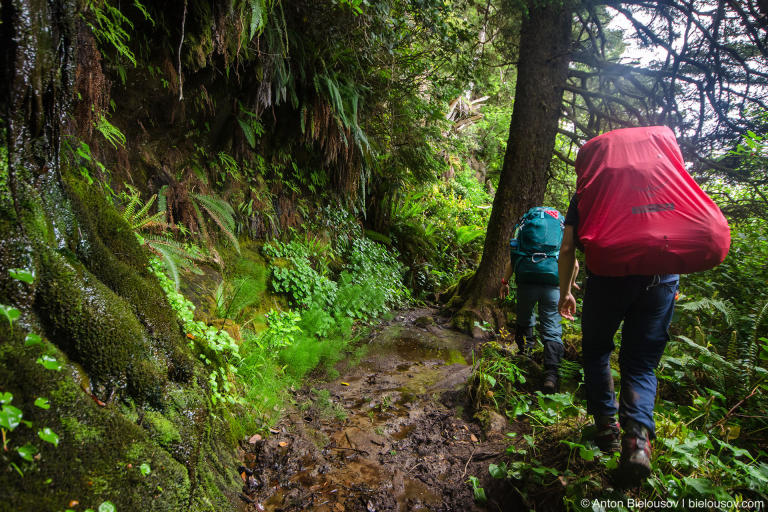 West Coast Trail mud