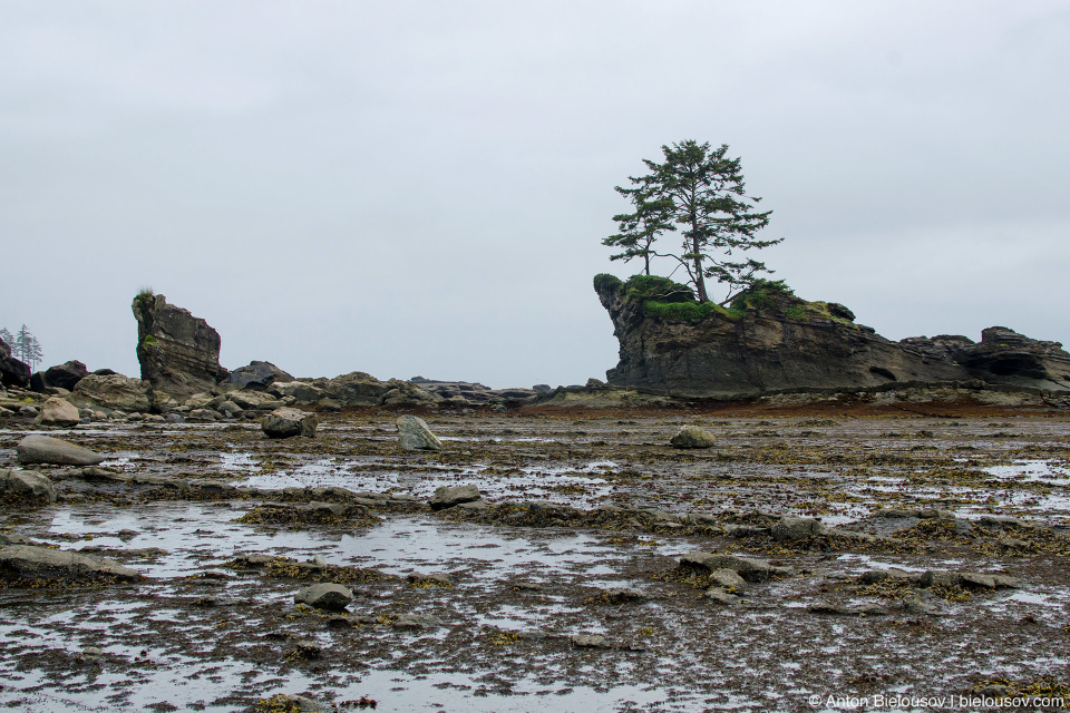 Dare Point на West Coast Trail