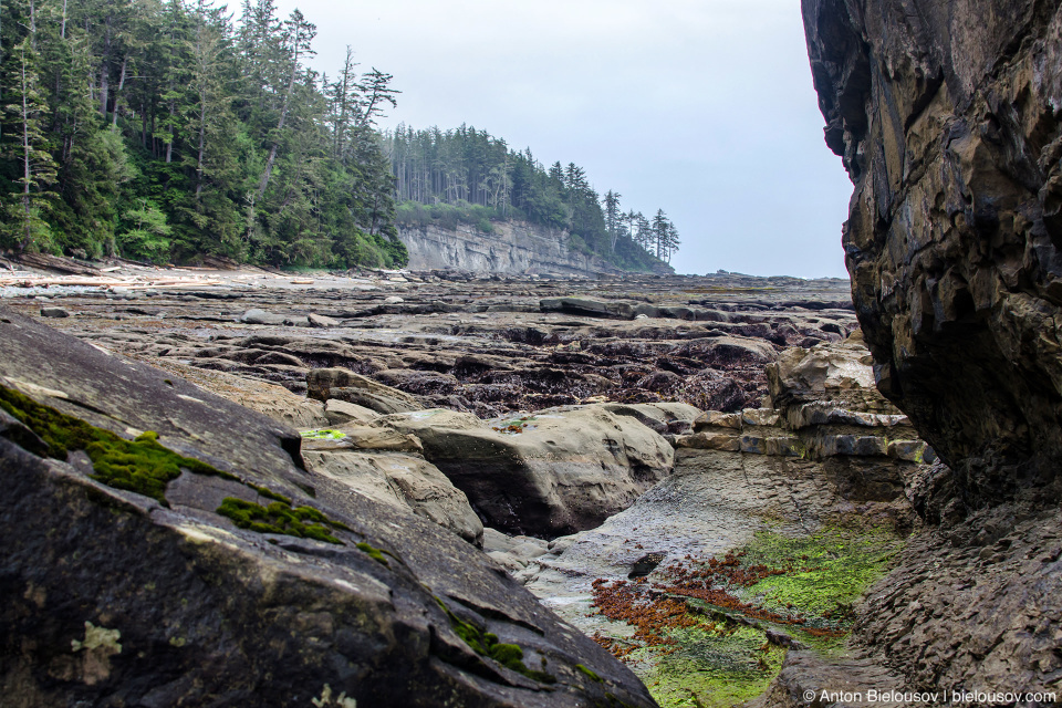 Dare Point на West Coast Trail